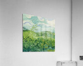 Vincent van Gogh 49 Acrylic Print