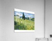 Vincent van Gogh 52 Acrylic Print