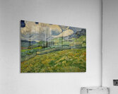 Vincent van Gogh 4 Acrylic Print