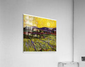 Vincent van Gogh 7 Acrylic Print