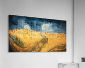 Vincent van Gogh 8 Acrylic Print