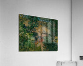 Vincent van Gogh 9 Acrylic Print