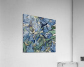 Vincent van Gogh 11 Acrylic Print