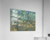 Vincent van Gogh 14 Acrylic Print