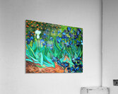 Vincent van Gogh 22 Acrylic Print