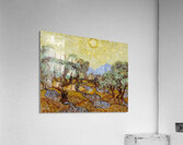 Vincent van Gogh 27 Acrylic Print