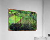 Vincent van Gogh 32 Acrylic Print