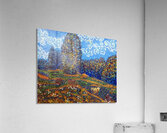 Vincent van Gogh 33 Acrylic Print