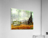 Vincent van Gogh 36 Acrylic Print