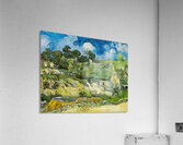 Vincent van Gogh 38 Acrylic Print