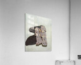 Salvador Dalí 44 Acrylic Print