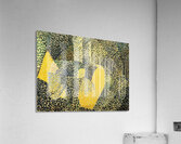 Salvador Dalí 14 Acrylic Print