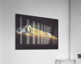 Salvador Dalí 27 Acrylic Print