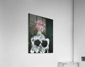 Salvador Dalí 28 Acrylic Print