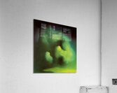 Salvador Dalí 34 Acrylic Print