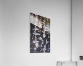 Mark Tobey 4 Acrylic Print