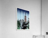 suchiya Koitsu 1 Acrylic Print