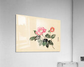 suchiya Koitsu 9 Acrylic Print