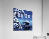 suchiya Koitsu 16 Acrylic Print