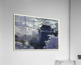 suchiya Koitsu 20 Acrylic Print