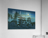 suchiya Koitsu 40 Acrylic Print