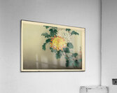 suchiya Koitsu 13 Acrylic Print