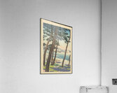 suchiya Koitsu 21 Acrylic Print