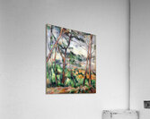 Paul Cézanne 5 Impression acrylique