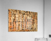 Aristarkh Lentulov 48 Acrylic Print