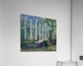 Aristarkh Lentulov 5 Acrylic Print