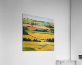 Aristarkh Lentulov 28 Acrylic Print