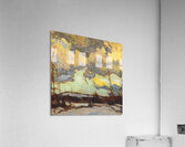 Manly Edward MacDonald   3 Acrylic Print