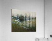 Manly Edward MacDonald   13 Acrylic Print