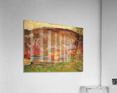 Manly Edward MacDonald   14 Acrylic Print