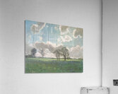 Manly Edward MacDonald   21 Acrylic Print