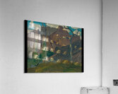 Manly Edward MacDonald   33 Acrylic Print