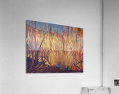 Manly Edward MacDonald   37 Acrylic Print