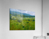 Manly Edward MacDonald   6 Acrylic Print