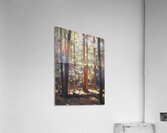 Manly Edward MacDonald   13 Acrylic Print