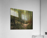 Manly Edward MacDonald   19 Acrylic Print