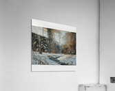 Manly Edward MacDonald   20 Acrylic Print