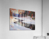 Manly Edward MacDonald   28 Acrylic Print