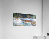 Manly Edward MacDonald   31 Acrylic Print