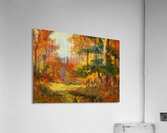 Manly Edward MacDonald   33 Acrylic Print