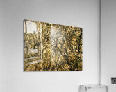 Jackson Pollock 7 Acrylic Print