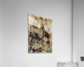 Jackson Pollock 17 Acrylic Print