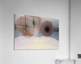 Arthur Dove 6 Acrylic Print