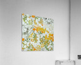 Augusto Giacometti 4 Acrylic Print