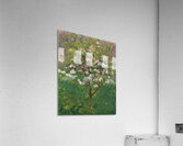 Augusto Giacometti 30 Acrylic Print