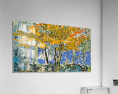 Augusto Giacometti 9 Acrylic Print